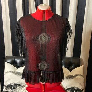 Zara Sparkly Black Sheer Ruffle Top